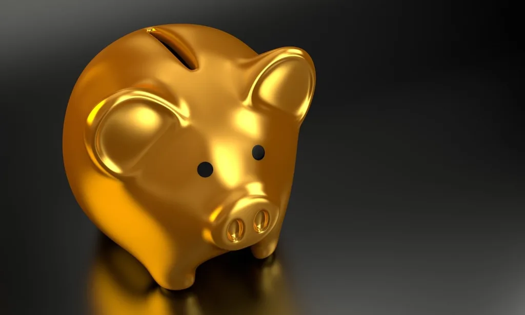 Piggy bank to represent saving money with bank account features.